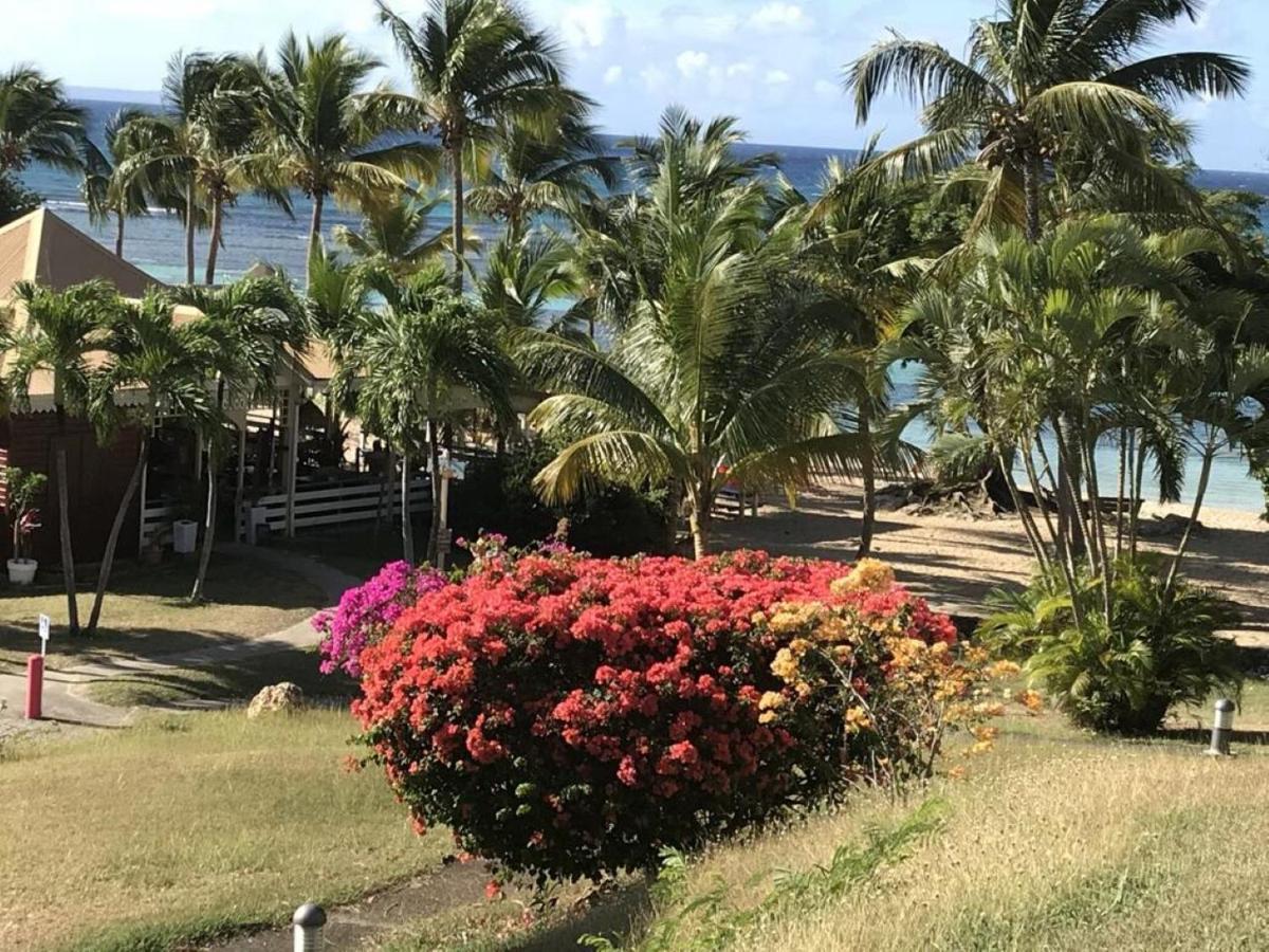 Studio Mojito Vue Mer,Piscine Avec Cuve Eau Et Acces Plage Et Piscine Anse Des Rochers Saint-Francois  Exteriér fotografie